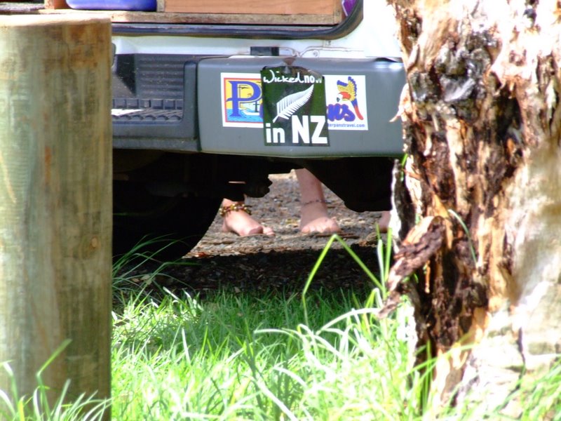 Travel - Australia - Dery Pictures Bush Party - The Lake near Forster